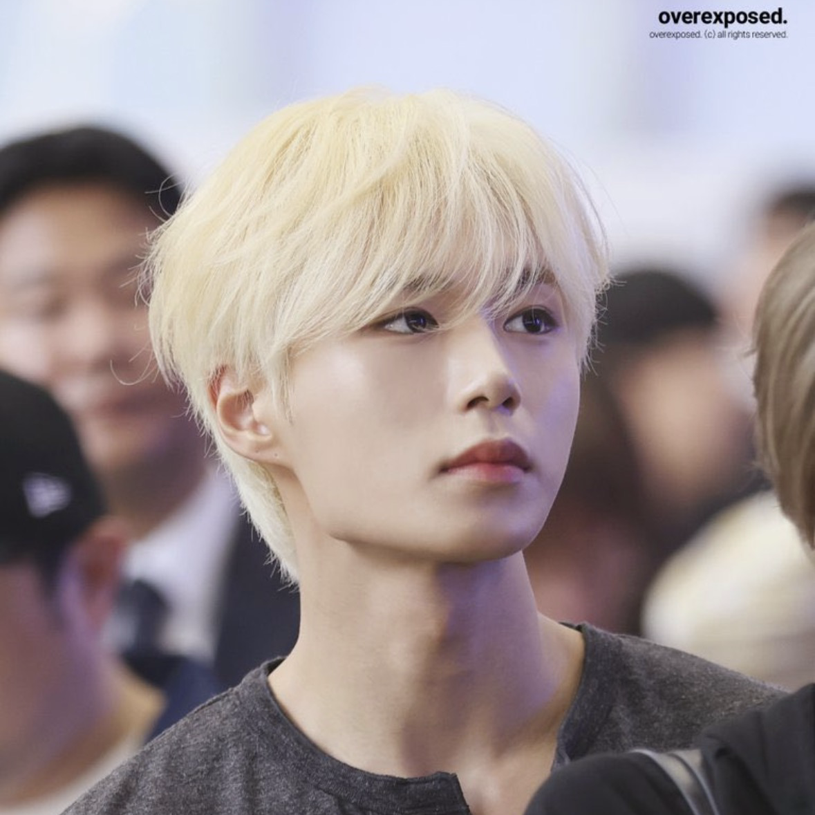 A moment captured by Kim Junseo (ALPHA DRIVE ONE)'s fan