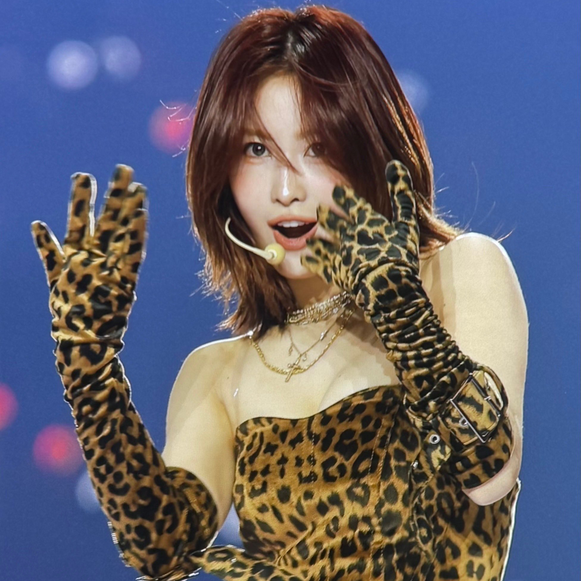 Momo (TWICE)粉絲拍下的瞬間