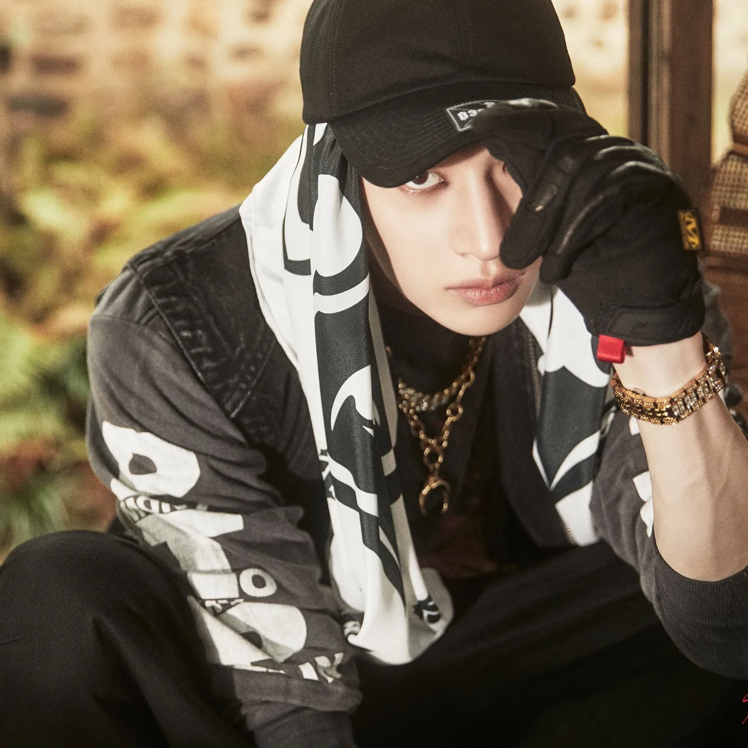 方灿 (Stray Kids)粉丝拍下的瞬间