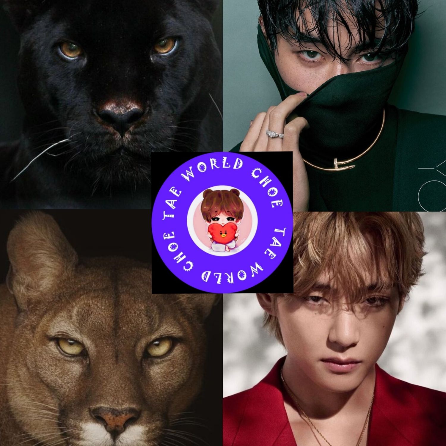 뷔 (방탄소년단)의 비하인드 컷