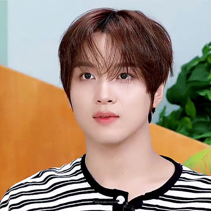 A moment captured by Haechan (NCT 127, NCT DREAM)'s fan
