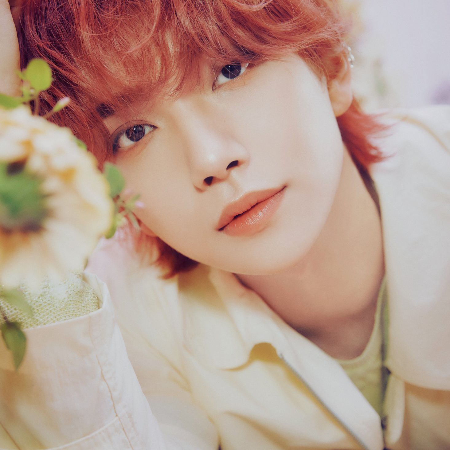 세븐틴 팬이 찍은 순간