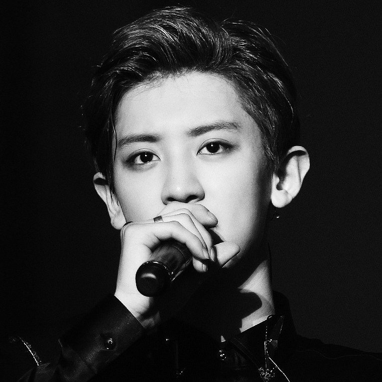 燦烈 (EXO)粉絲拍下的瞬間