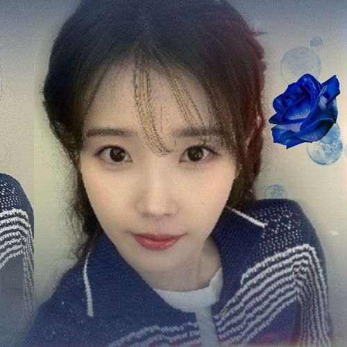 아이유 팬이 찍은 순간