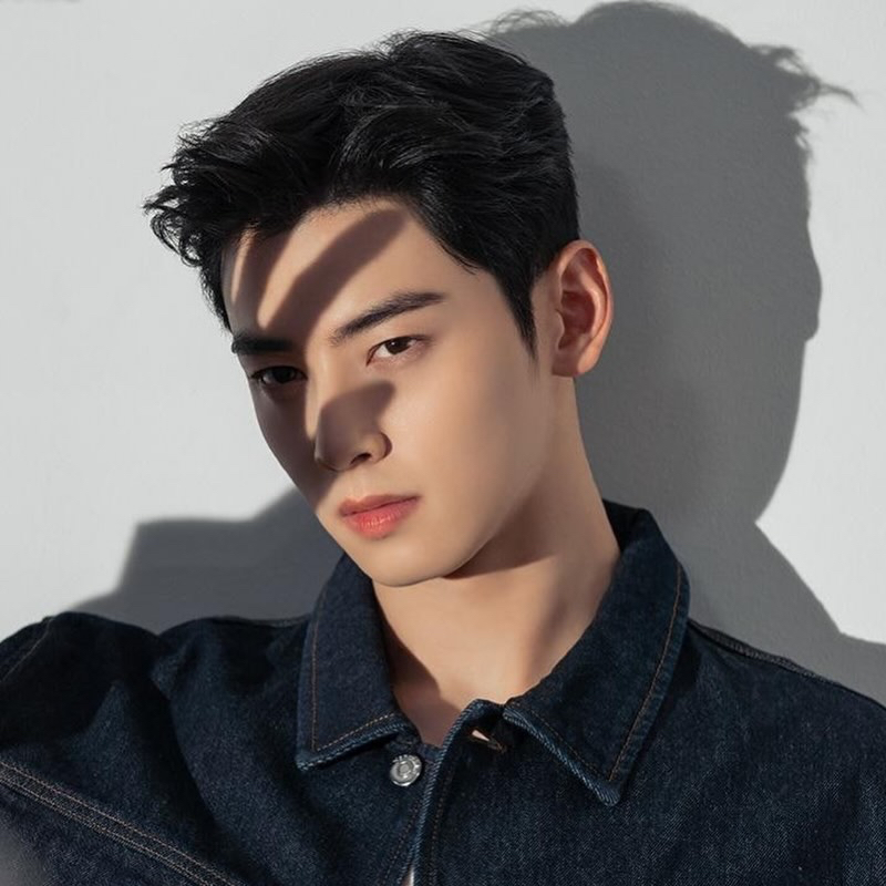 A moment captured by Eunwoo (ASTRO)'s fan