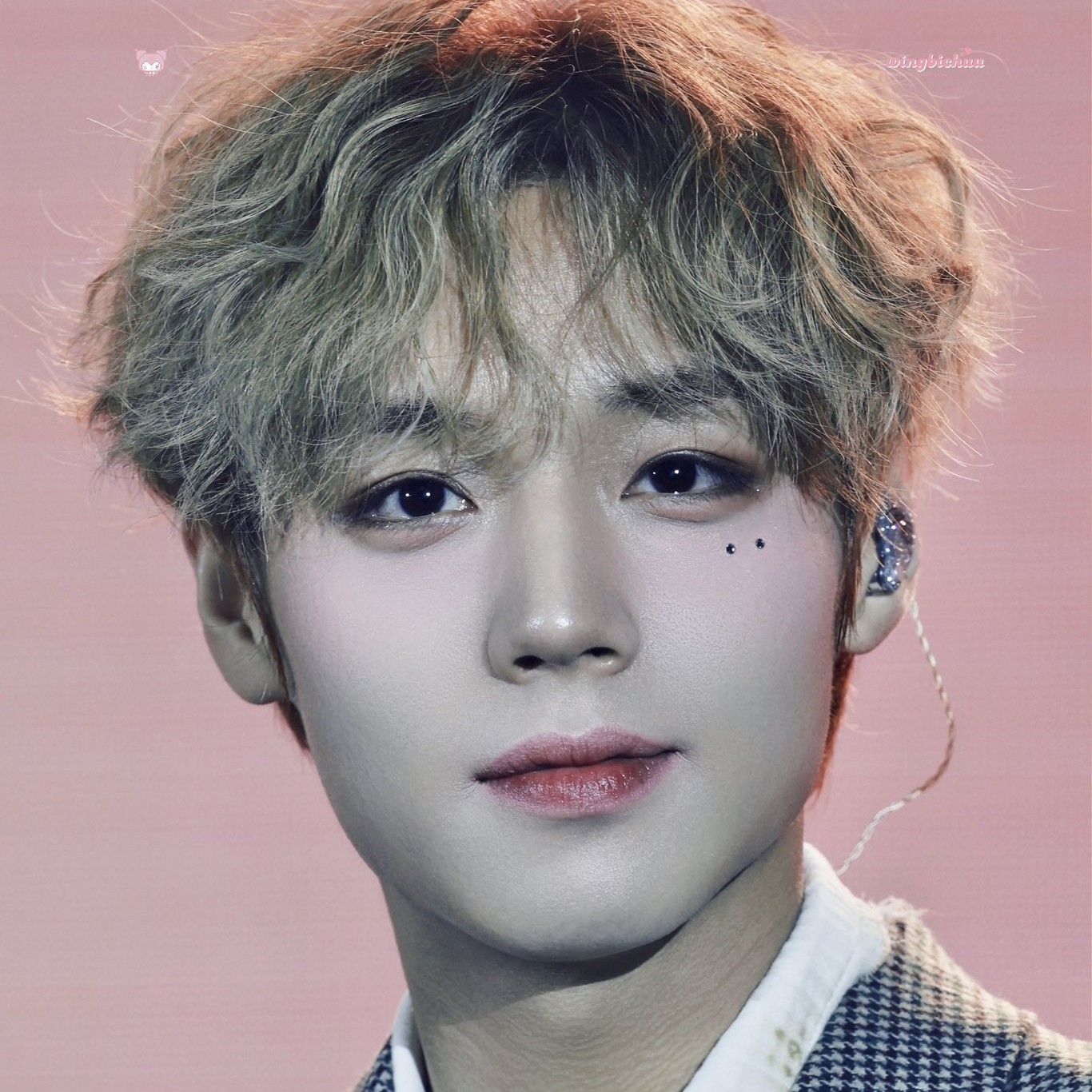 박지훈 최근 활동샷