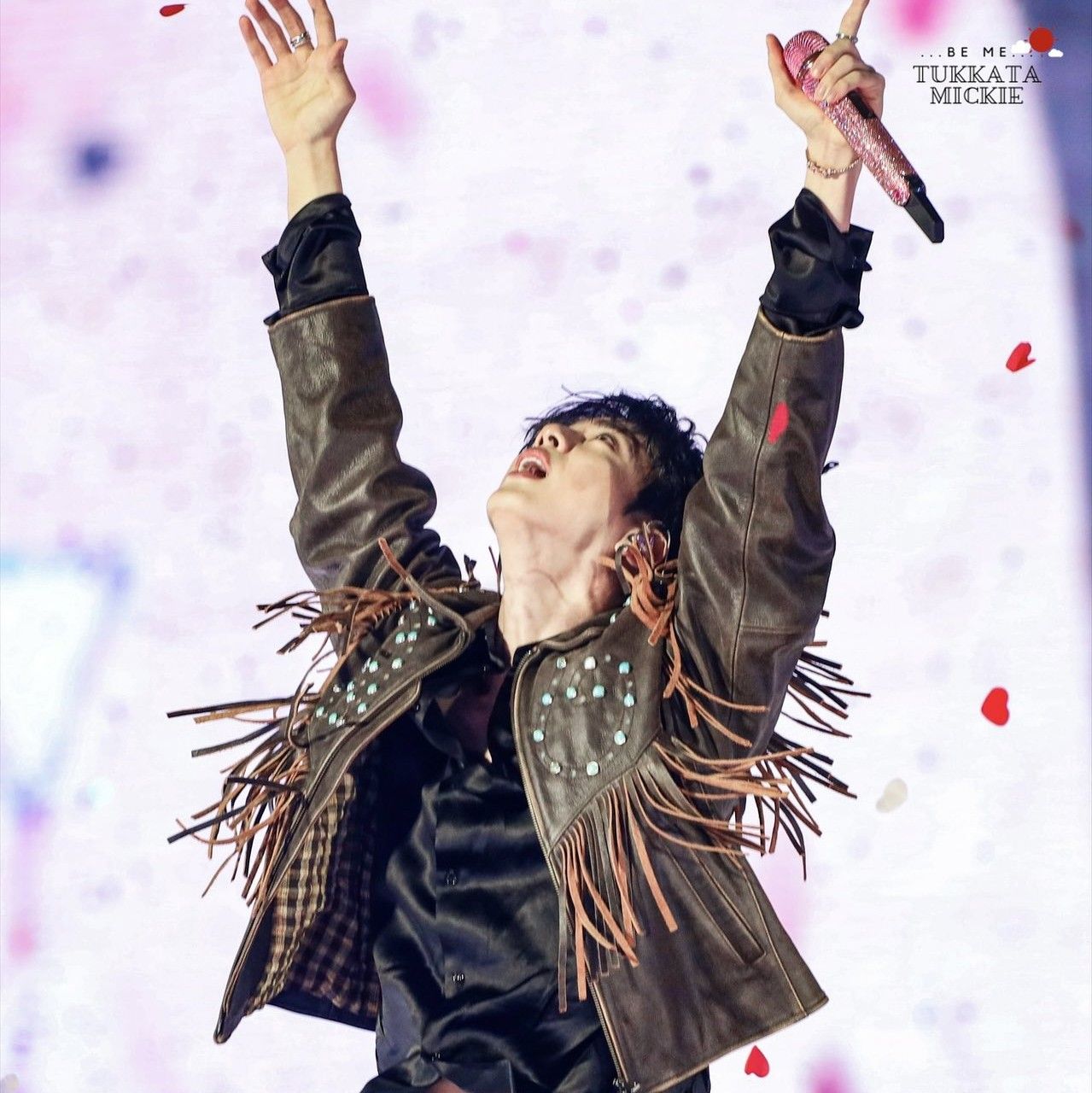 진 (방탄소년단) 팬이 찍은 순간