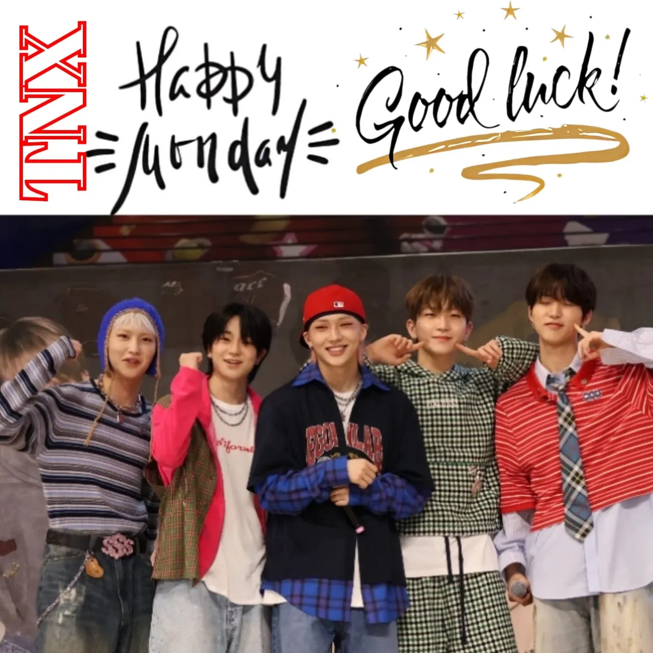 TNX 최근 활동샷