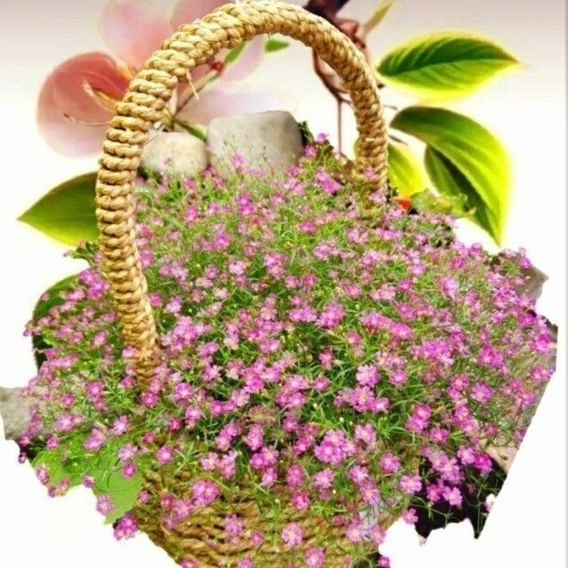 Recent activity shot of Eunwoo (ASTRO)