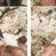 SUGA (BTS)の舞台裏ショット