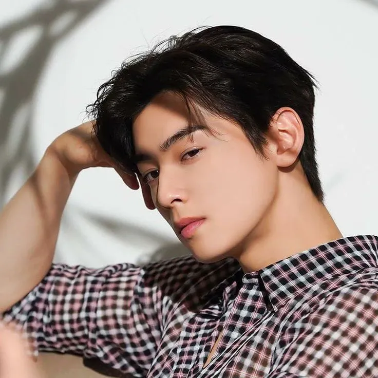 A moment captured by Eunwoo (ASTRO)'s fan