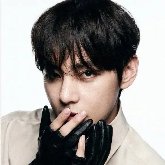 뷔 (방탄소년단) 팬이 찍은 순간