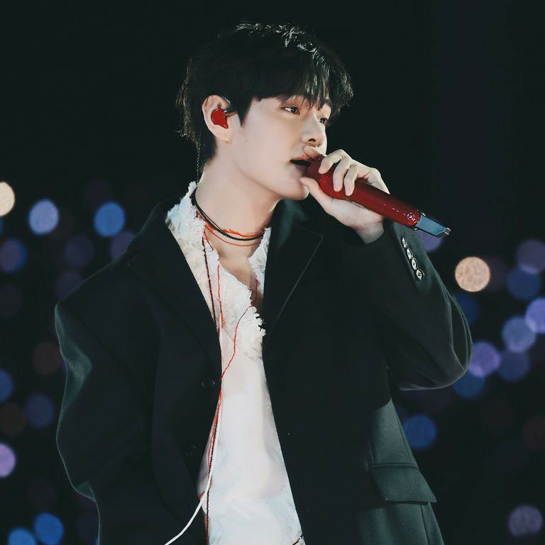 V (防彈少年團)的最新照片