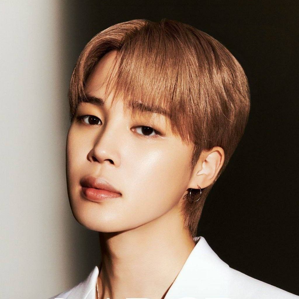 방탄소년단 팬이 찍은 순간