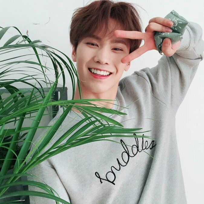 Latest photo of Rocky