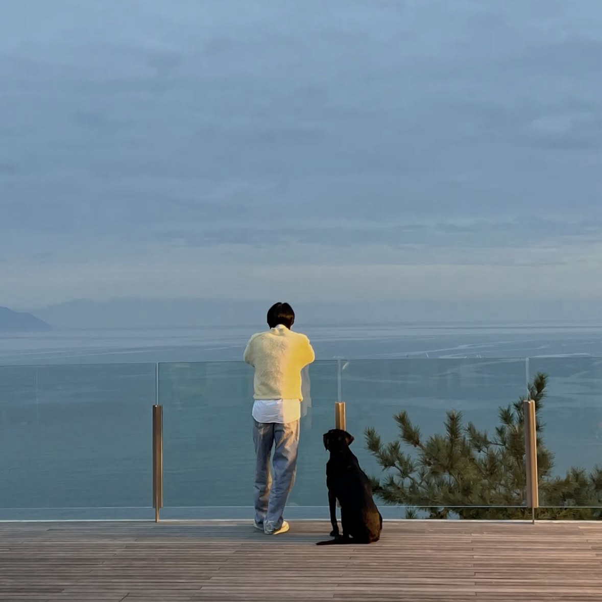 Behind-the-scenes cut of SUGA (BTS)