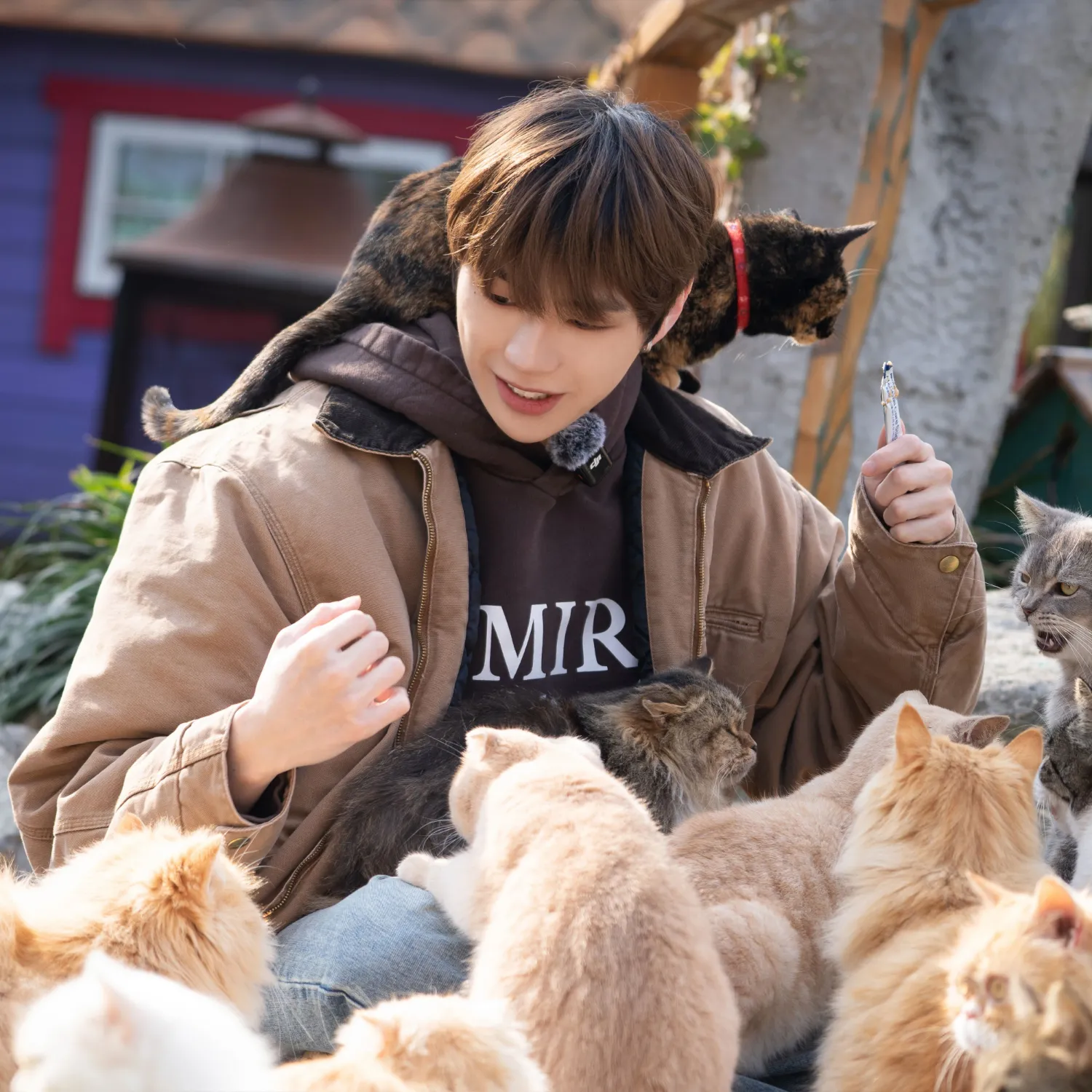 Momen yang diabadikan oleh penggemar Kang Daniel