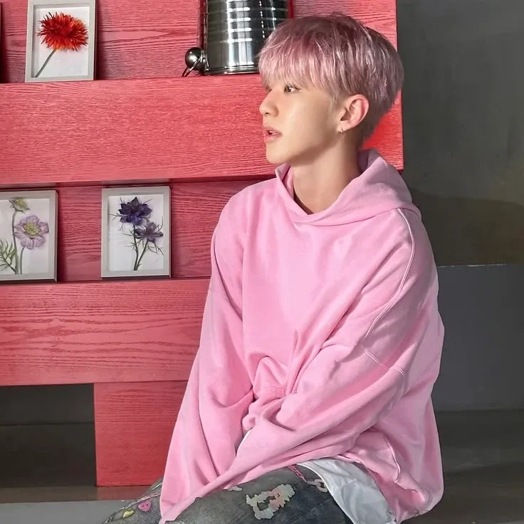 Momen yang diabadikan oleh penggemar SEVENTEEN