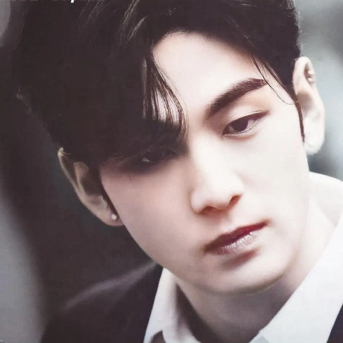 백호의 최신 사진