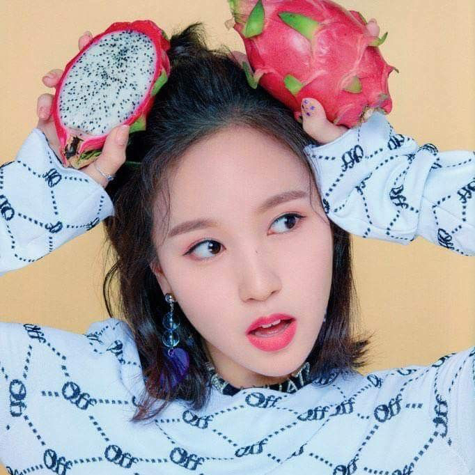 Mina (TWICE)粉丝拍下的瞬间