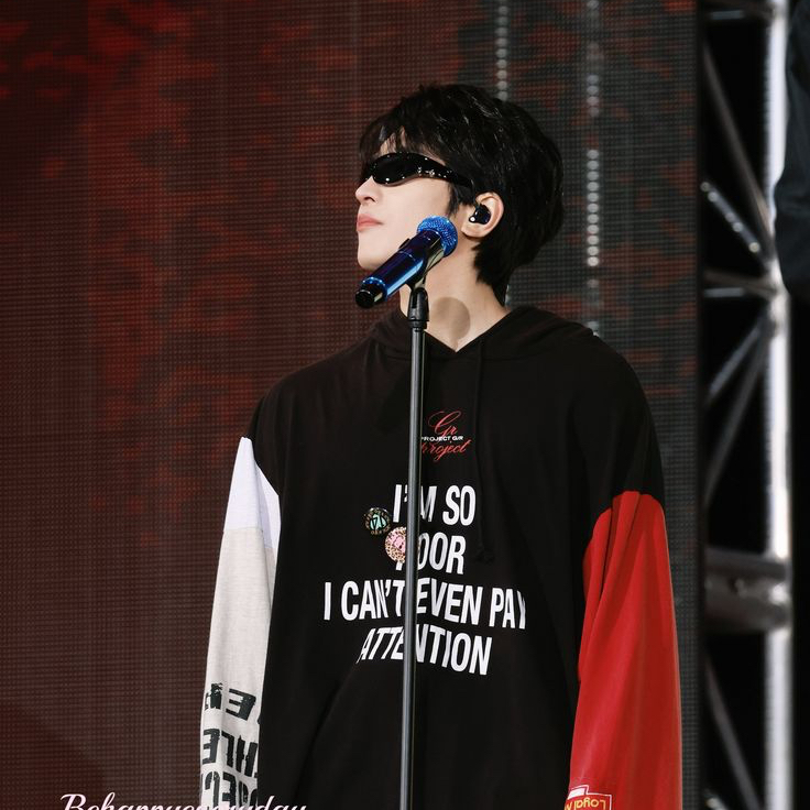 Recent activity shot of Wonwoo (SEVENTEEN)