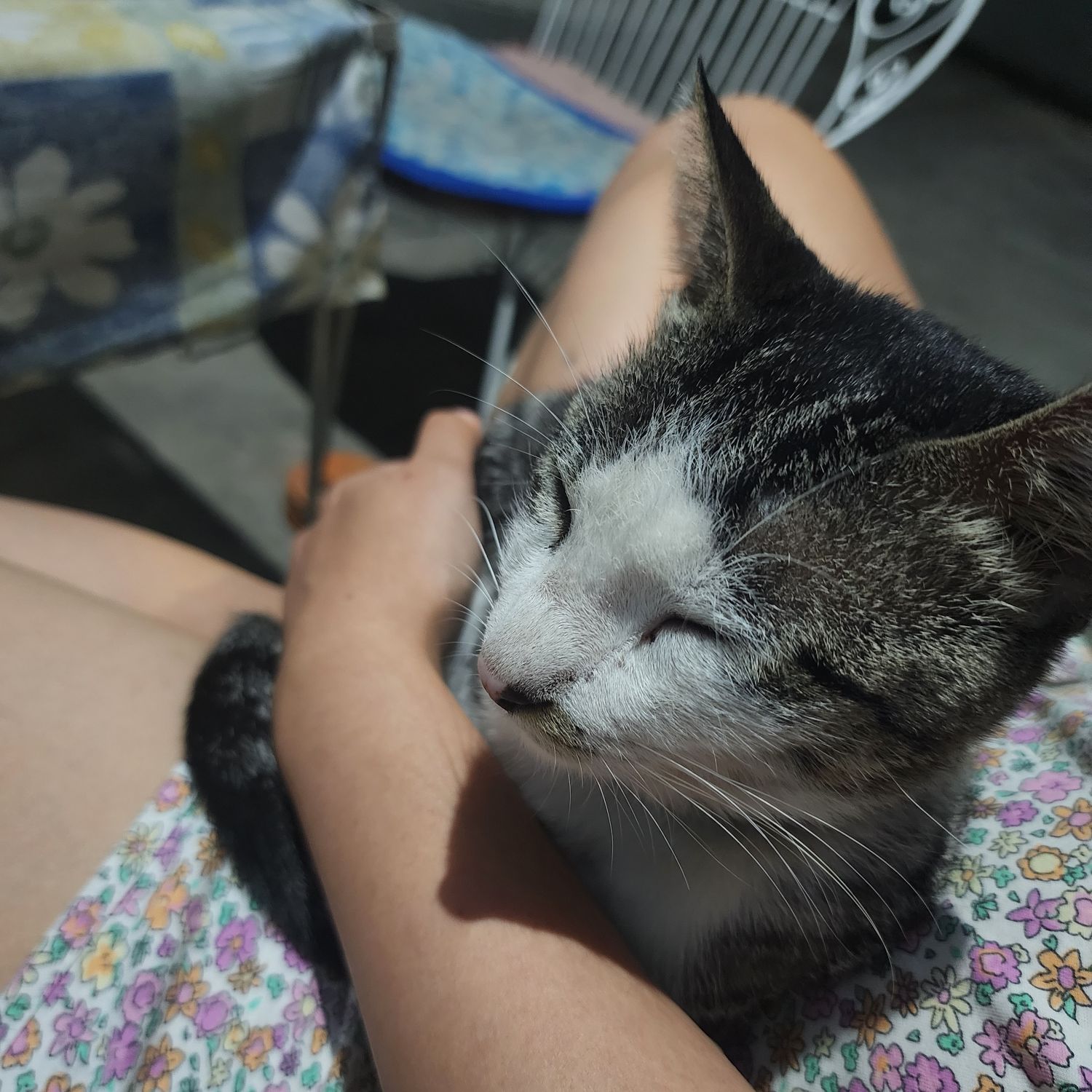 Latest photo of SEVENTEEN