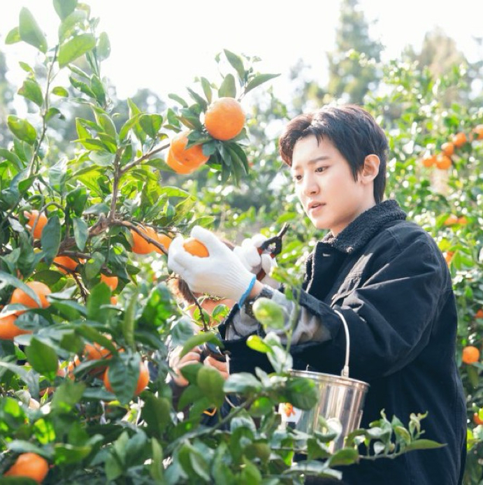 Latest photo of Chanyeol (EXO)