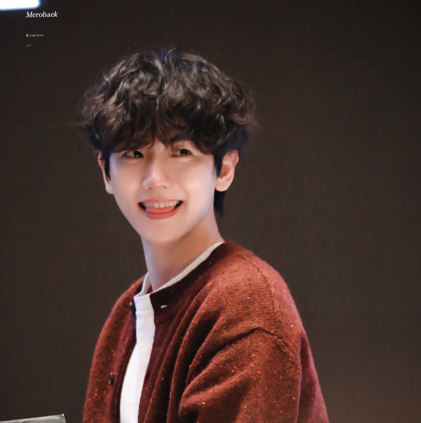 Potret di balik layar Baekhyun (EXO)