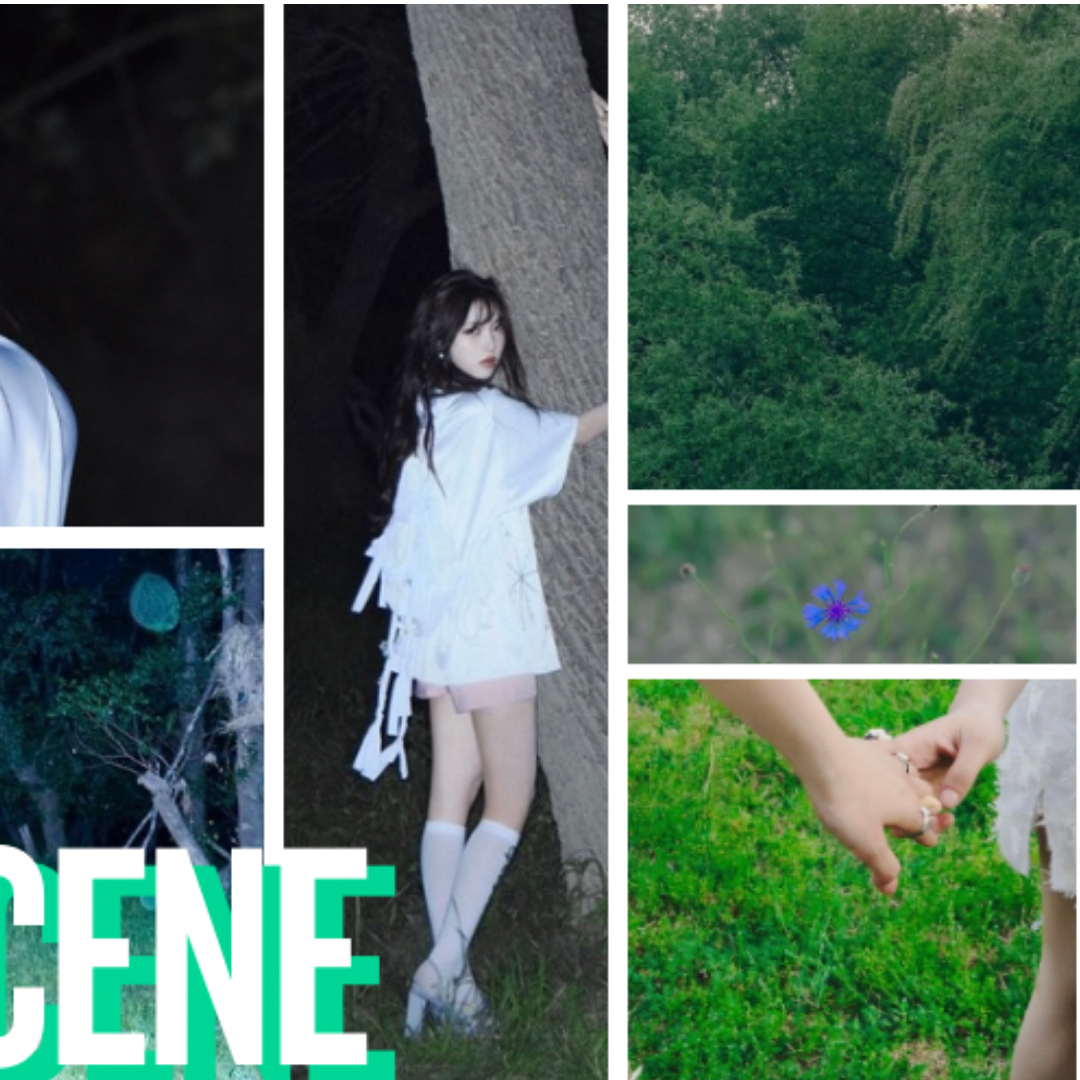 A moment captured by May (RESCENE)'s fan