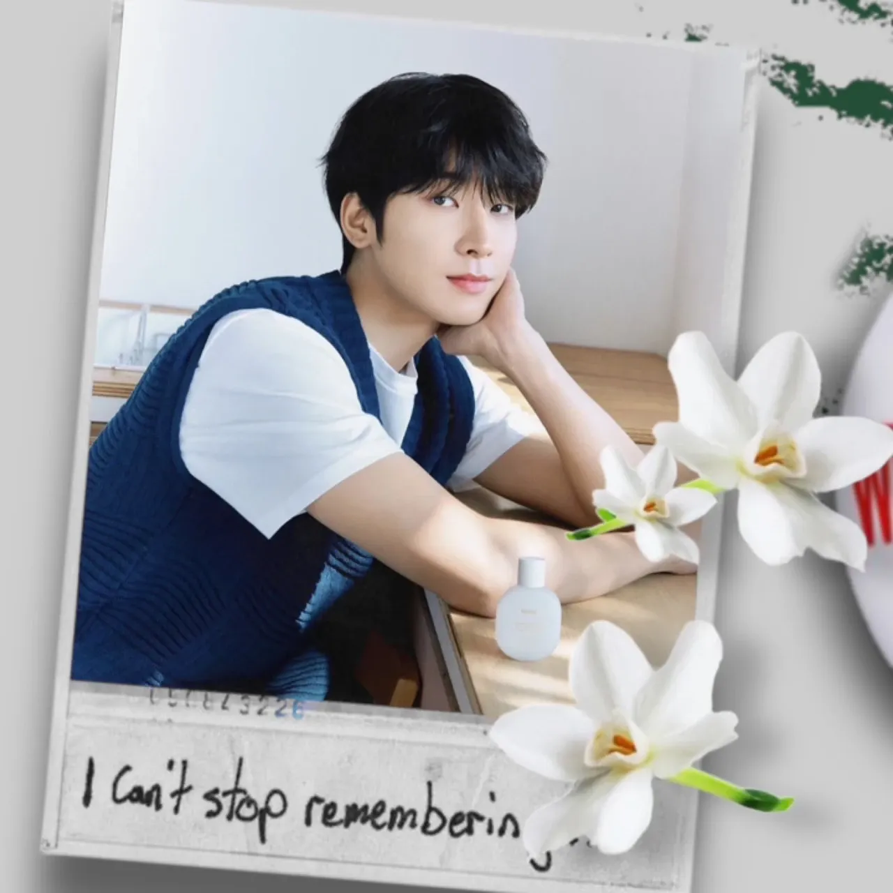 A moment captured by Wonwoo (SEVENTEEN)'s fan