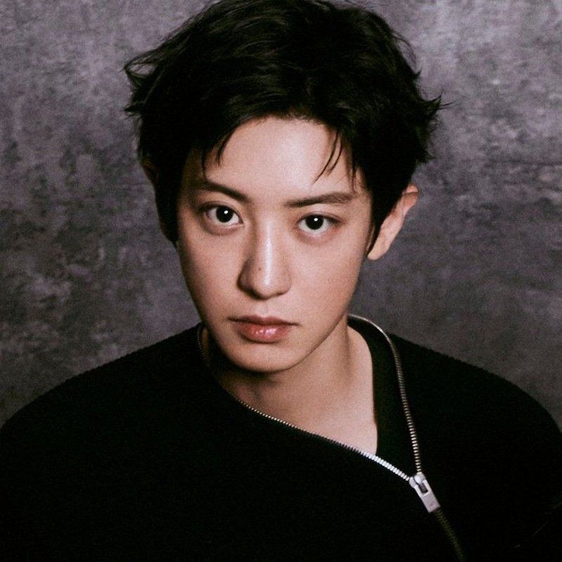 燦烈 (EXO)的最新活動照片