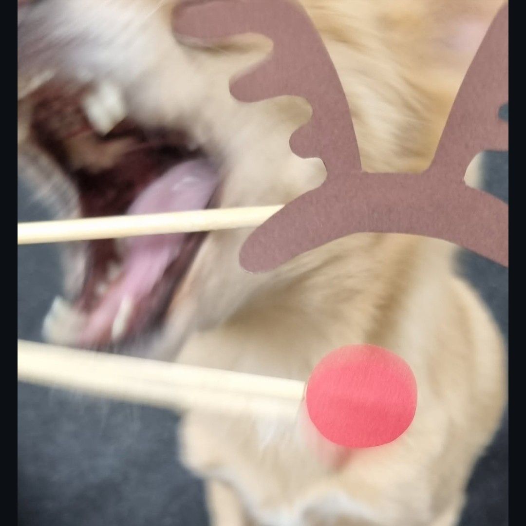 子瑜 (TWICE)的幕後花絮