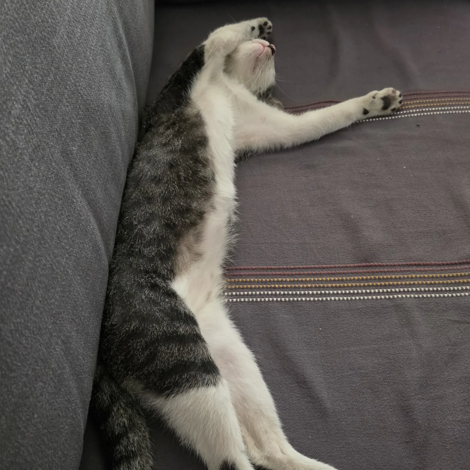 SEVENTEEN的最新照片