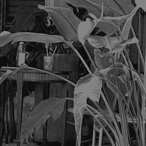 Recent activity shot of Hwasa (MAMAMOO)