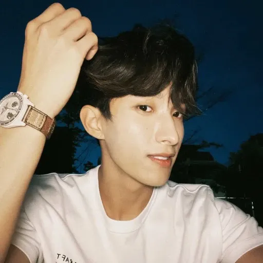 DK (SEVENTEEN)粉絲拍下的瞬間