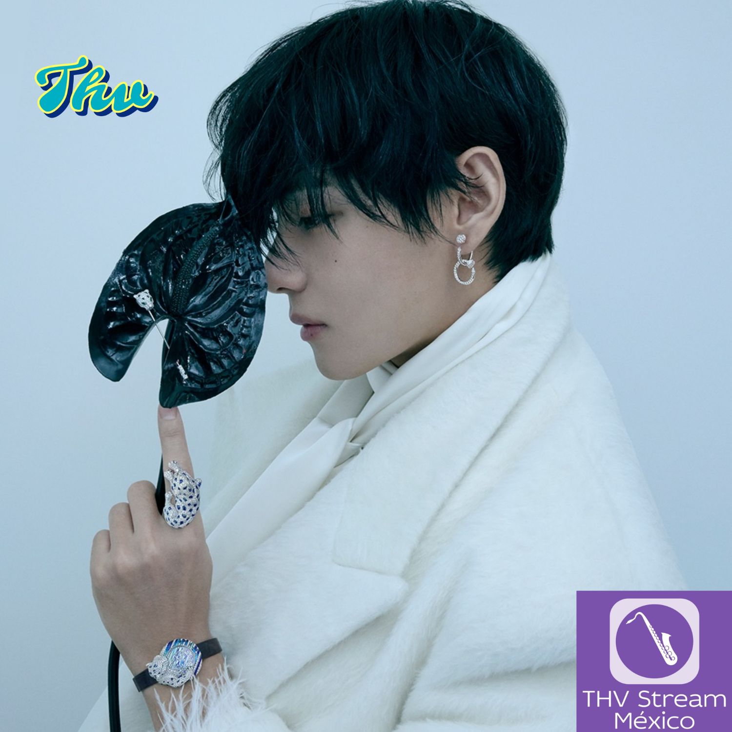 뷔 (방탄소년단) 팬이 찍은 순간