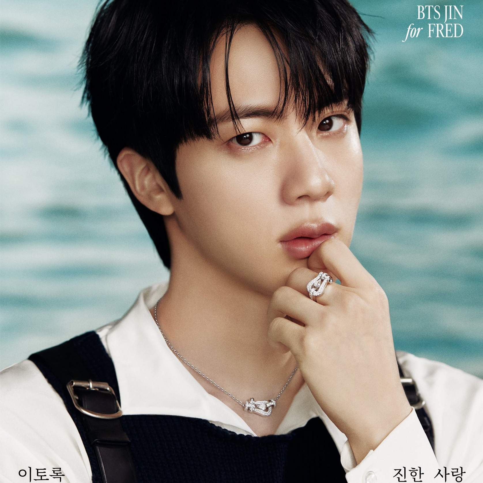 진 (방탄소년단) 팬이 찍은 순간