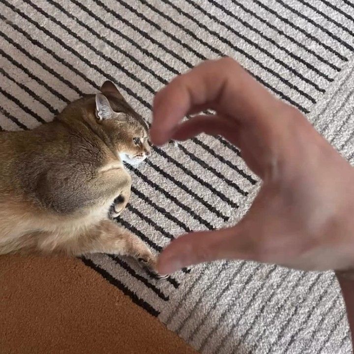 Momen yang diabadikan oleh penggemar Kang Daniel