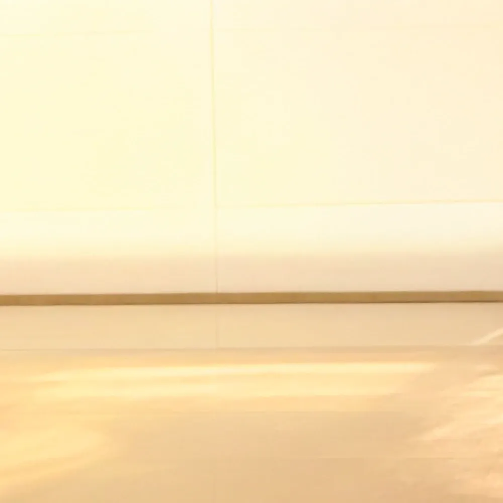 Shownu (MONSTA X)粉絲拍下的瞬間