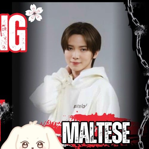 Latest photo of Yeosang (ATEEZ)