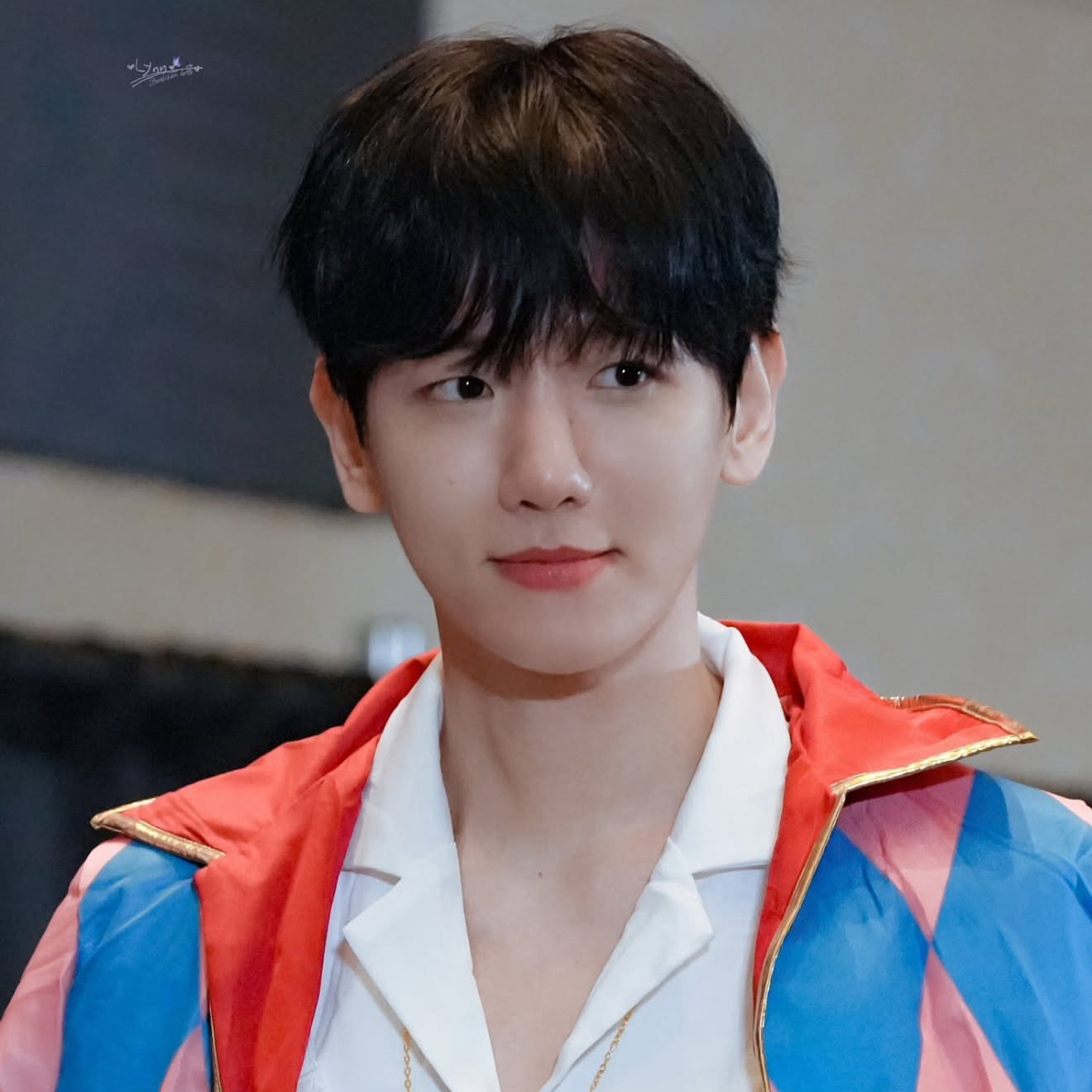 伯賢 (EXO)粉絲拍下的瞬間