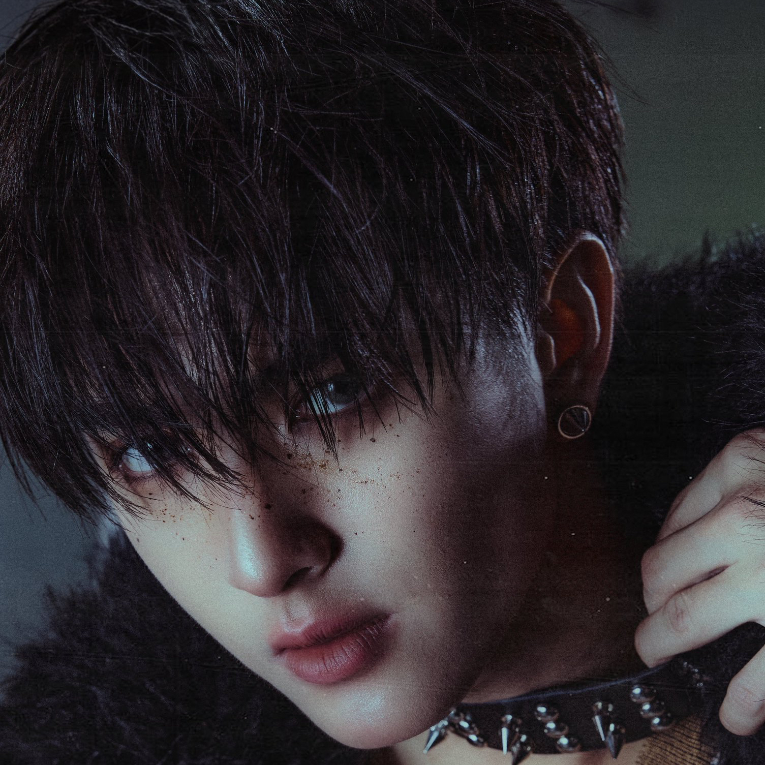 코퍼 (BUS)의 최신 사진