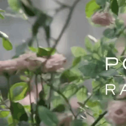 肖戦の最新写真