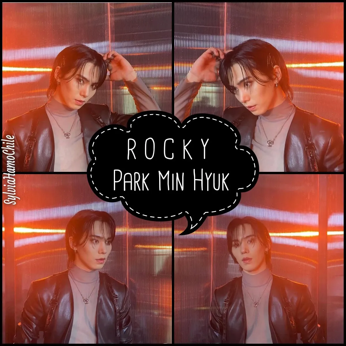 Recent activity shot of Rocky
