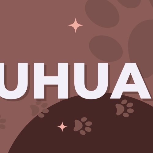 Behind-the-scenes cut of Shuhua (i-dle)