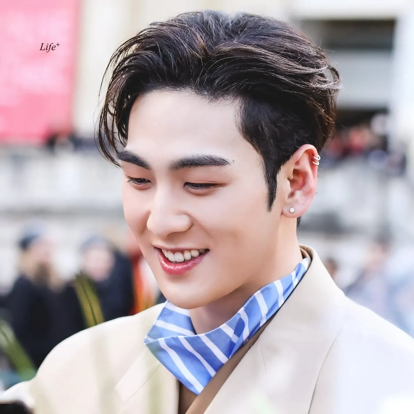 ベクホの最新写真