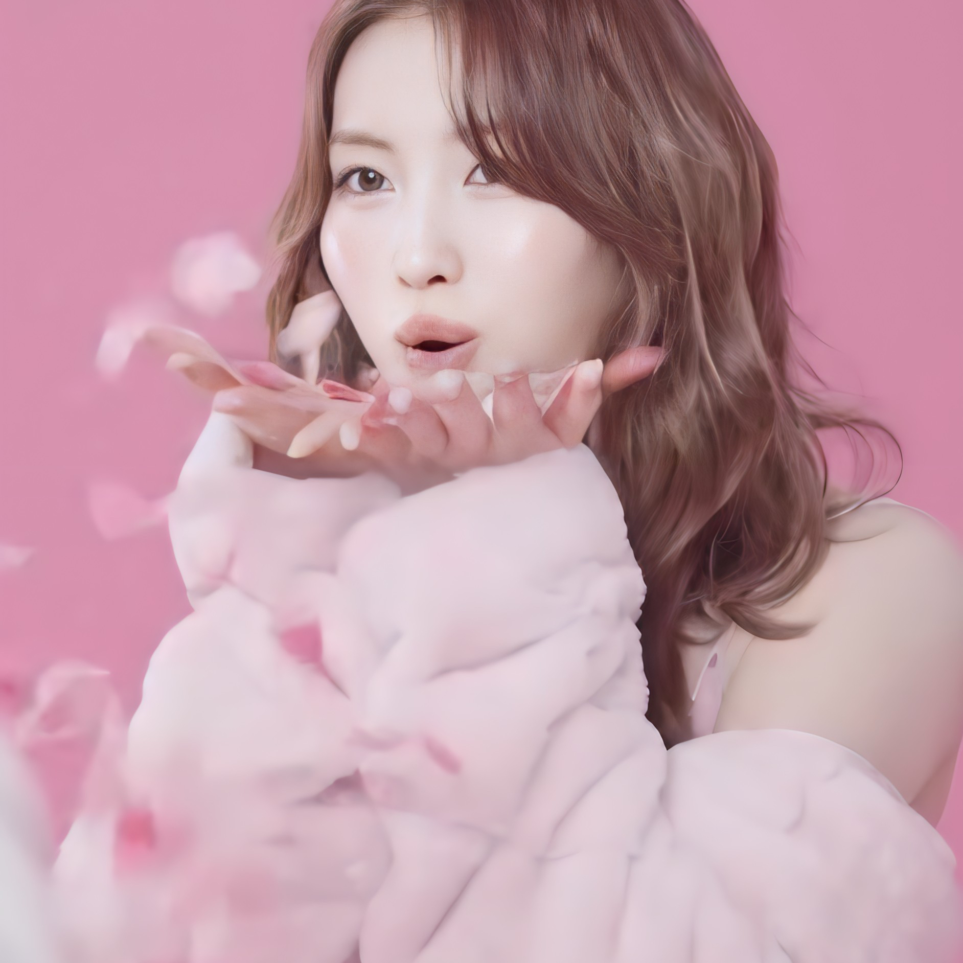 모모 (TWICE) 팬이 찍은 순간