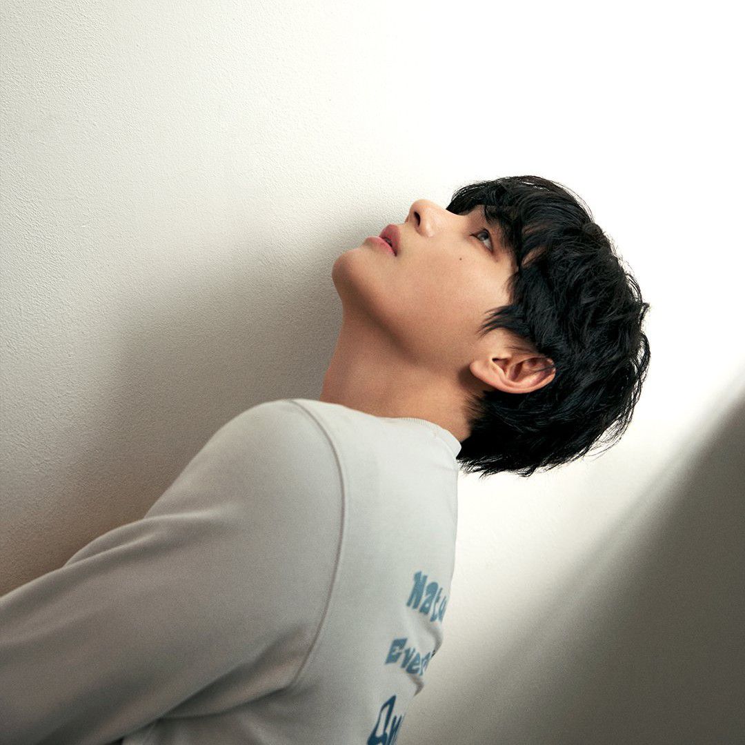 뷔 (방탄소년단) 팬이 찍은 순간