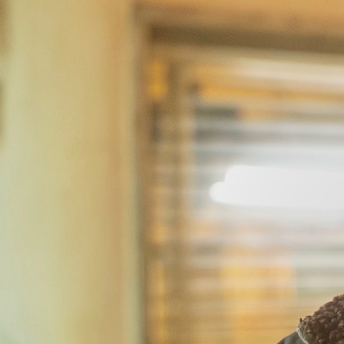 A moment captured by Jake (ENHYPEN)'s fan