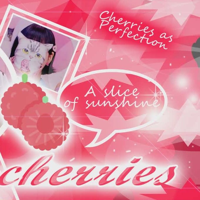 BLACKPINK 팬이 찍은 순간